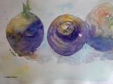 Visiter la galerie "LAVIS EN COULEUR"